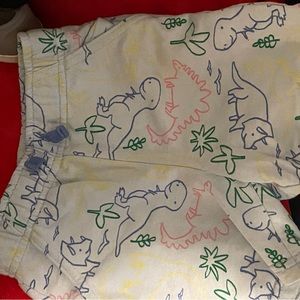 Cat & Jack boy  toddler’s short.